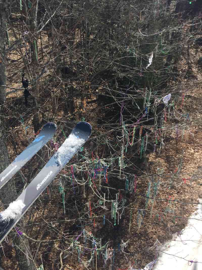 walking near me in East Mountain State Forest in winter