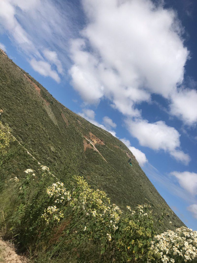walking near me in Parque Ecológico Centenario in winter