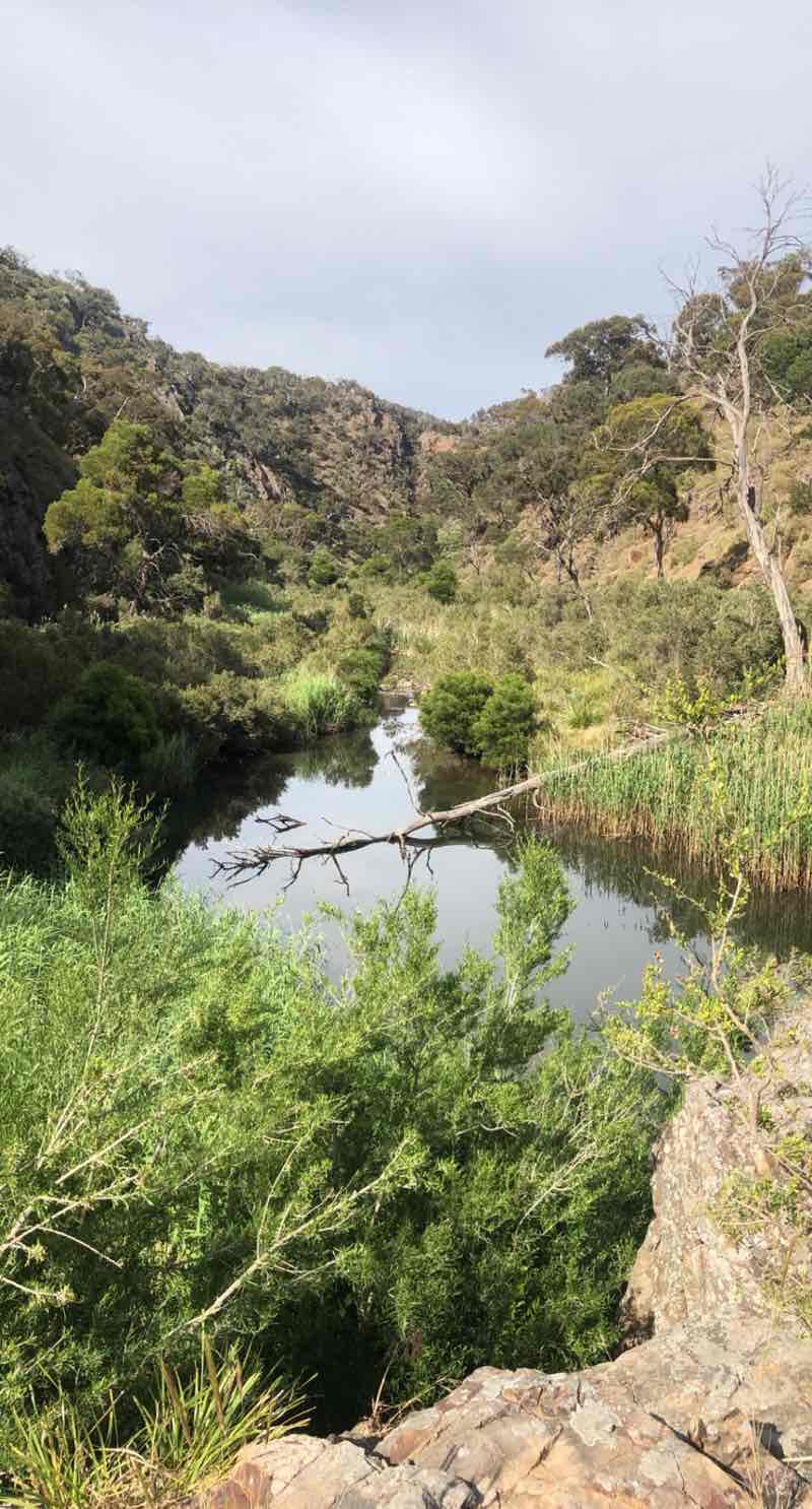 walking near me in Werribee Gorge State Park in summer