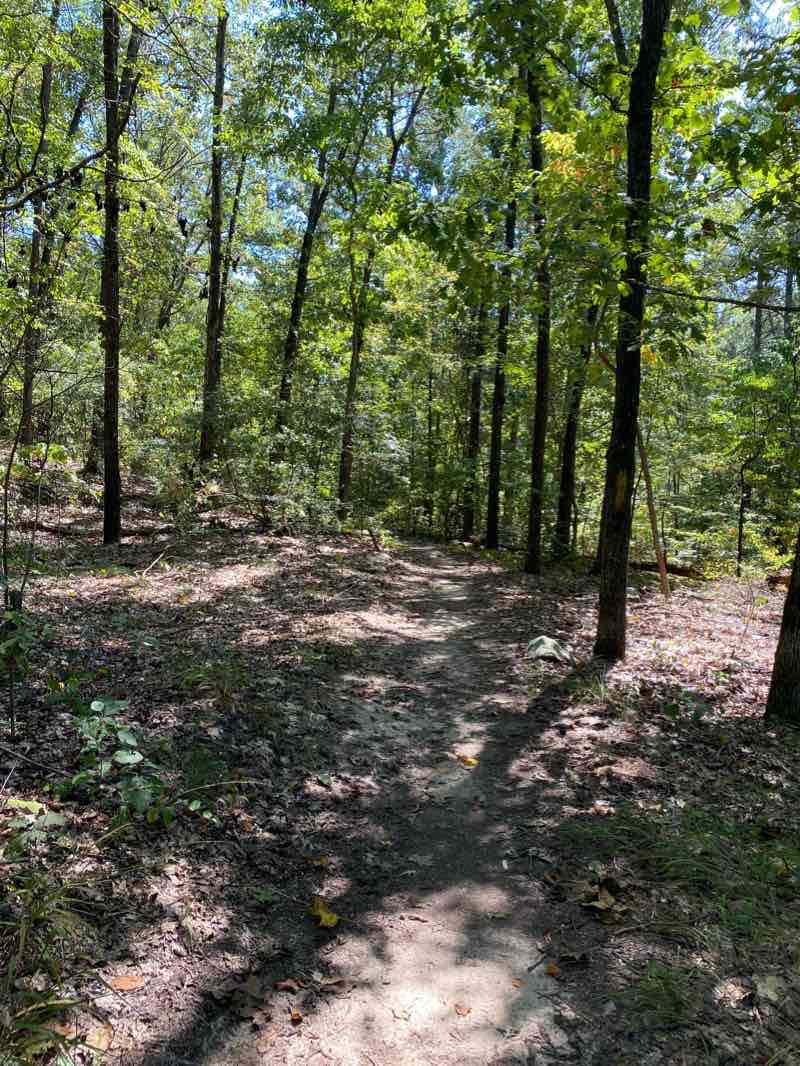 walking near me in Lake Guntersville State Park in winter