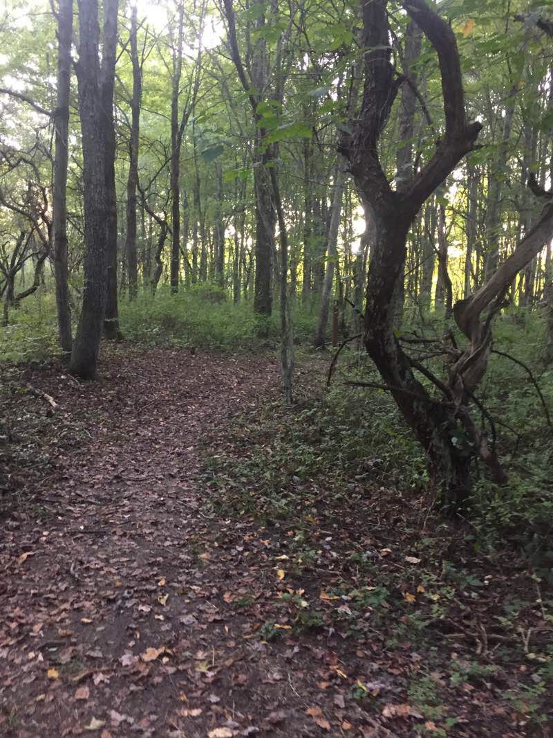walking near me in Erie National Wildlife Refuge in winter