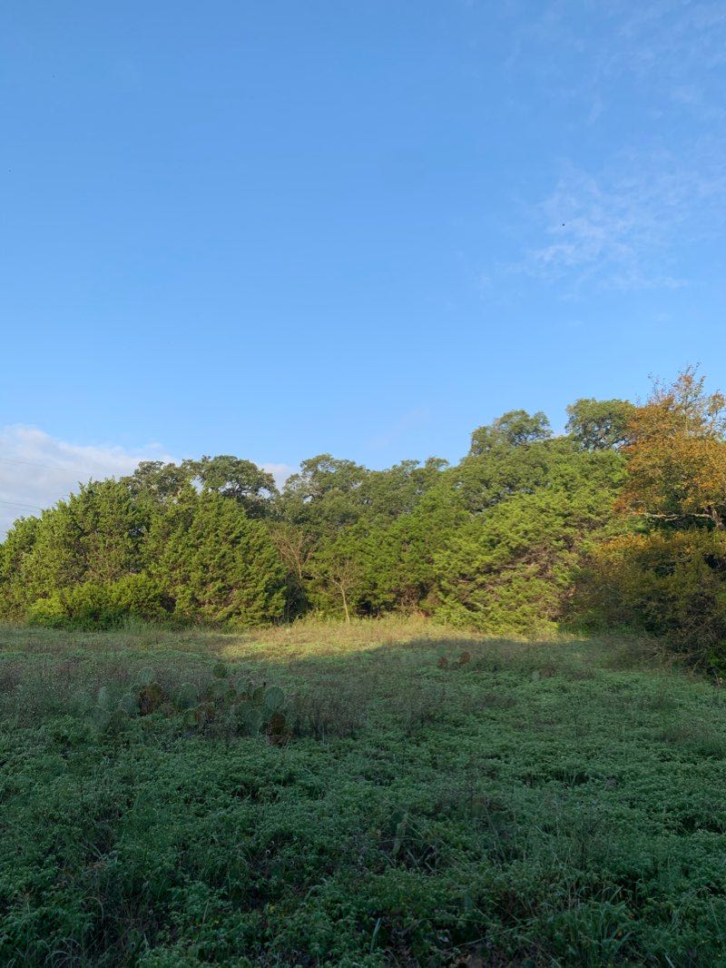 walking near me in Walnut Creek Metropolitan Park in winter