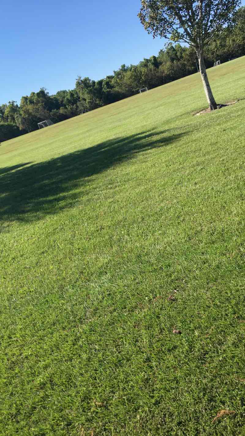 walking near me in Thomas F. Daley Memorial Park in winter