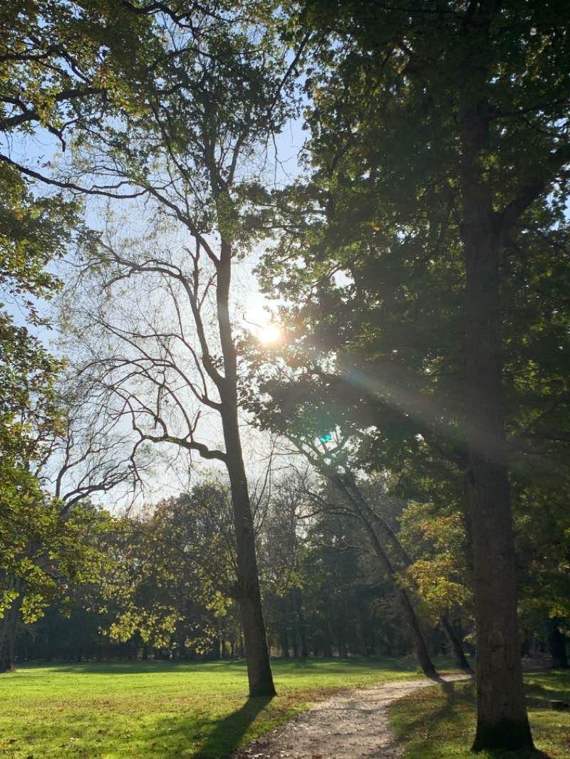 walking near me in Parc de Beauvais in winter