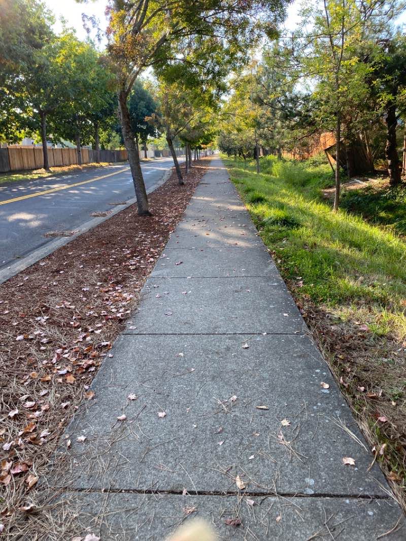 walking near me in Bethel Community Park in winter