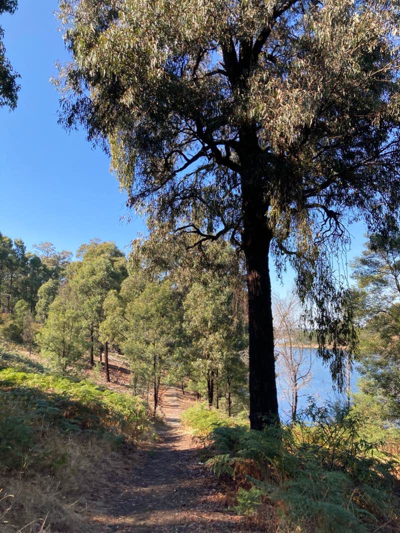 walking near me in Sugarloaf Reservoir Park in summer