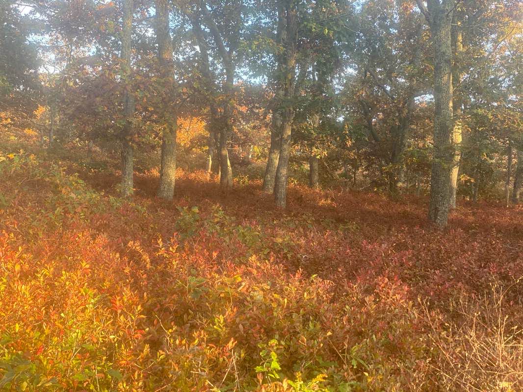 walking near me in Greenlands in winter
