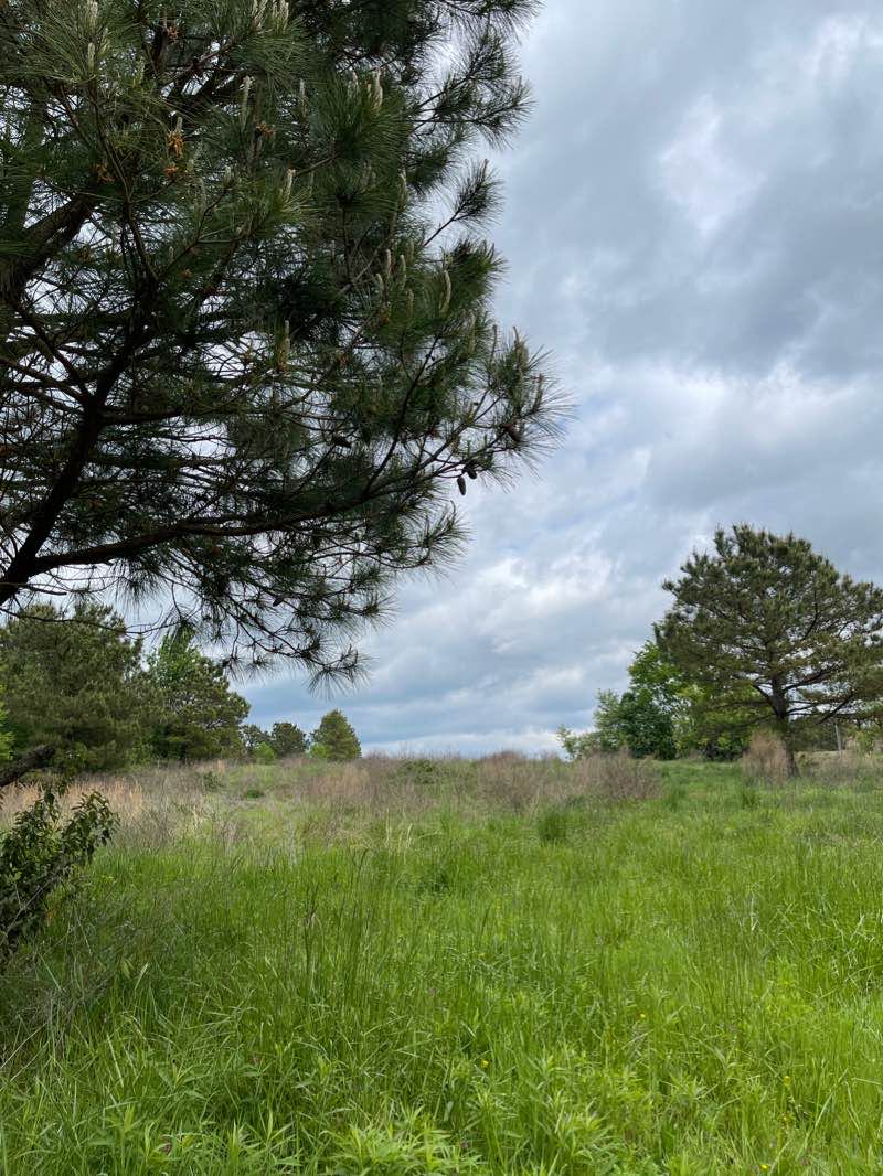 walking near me in Machicomoco State Park in winter