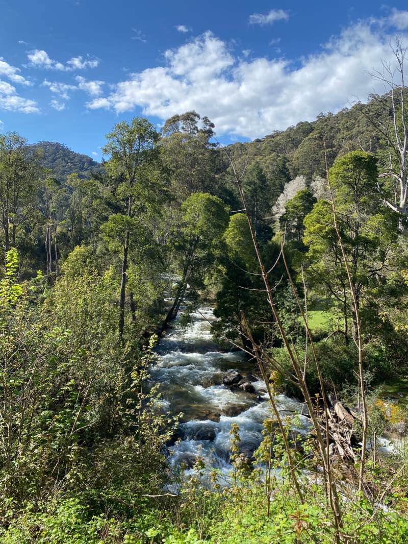 walking near me in Mount Russell Education Area in summer