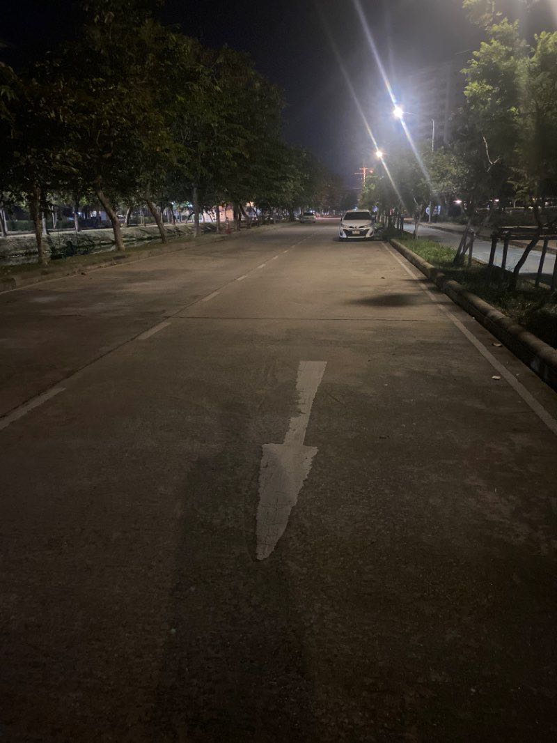 walking near me in สวนป่า in winter