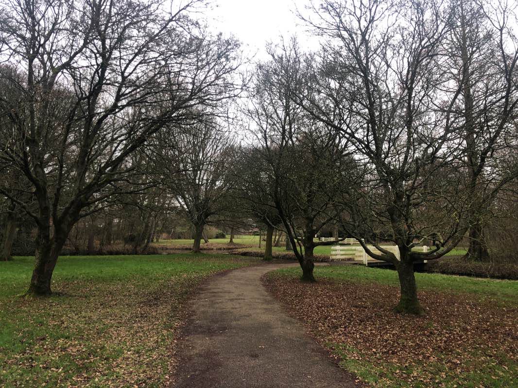 walking near me in Sterrenbos in winter