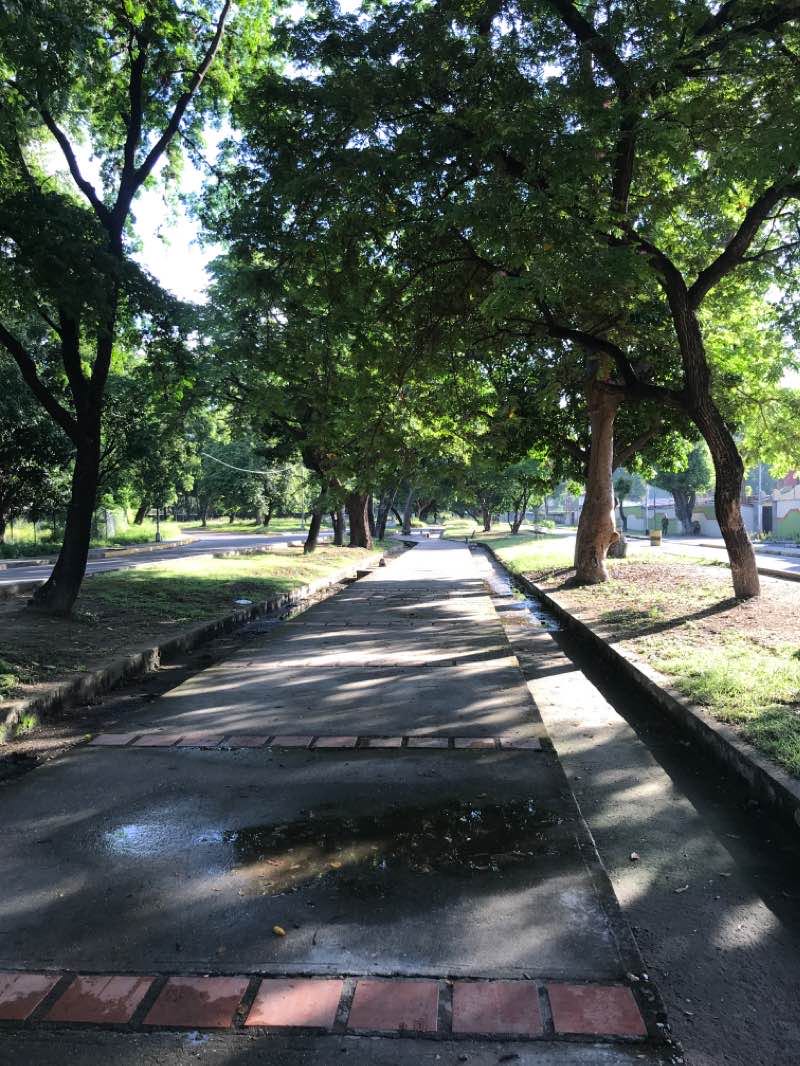 walking near me in Paseo Las Delicias in winter