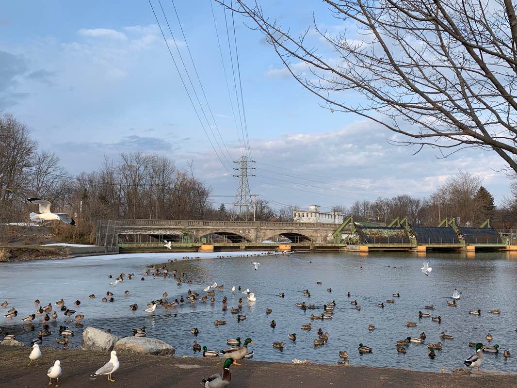 walking near me in Oak Island Village Park in winter