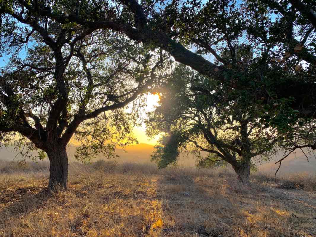 walking near me in North Ranch Open Space in winter