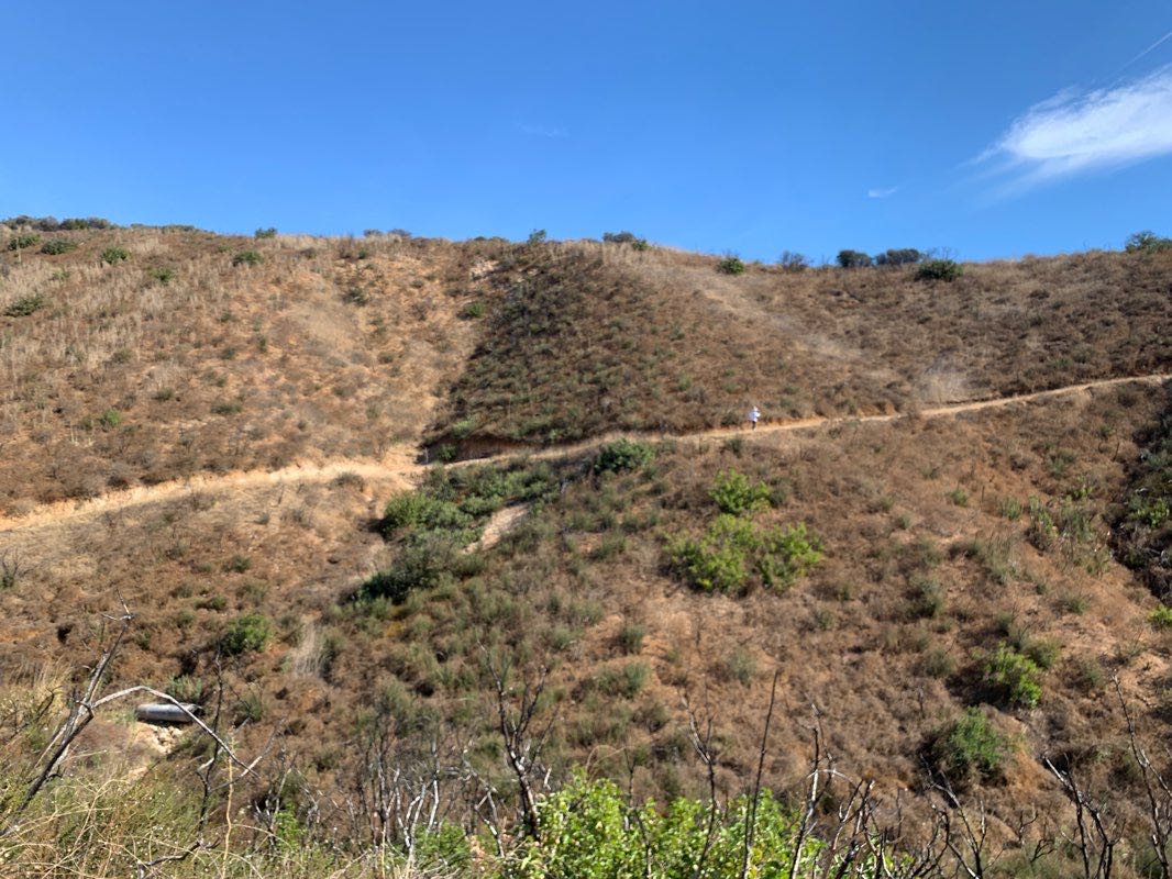 walking near me in Oak Canyon Community Park in winter