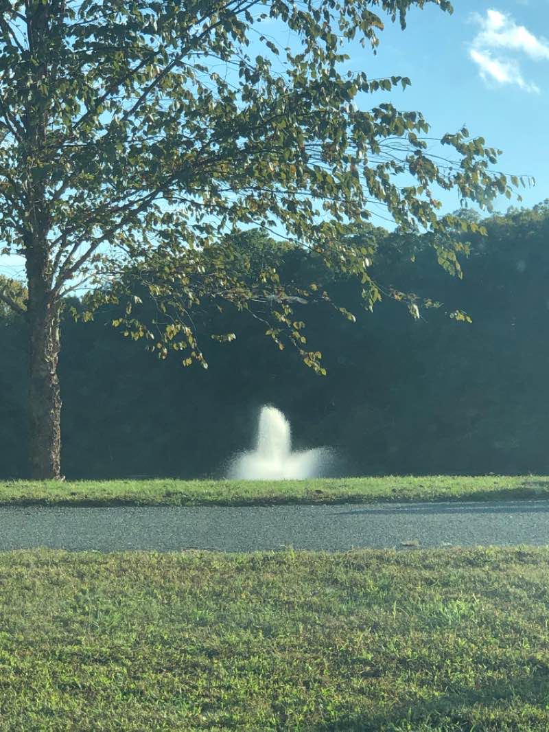 walking near me in Echo Lake Park in winter