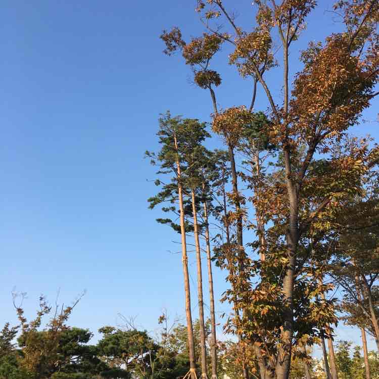 빵🍞또아 post 3