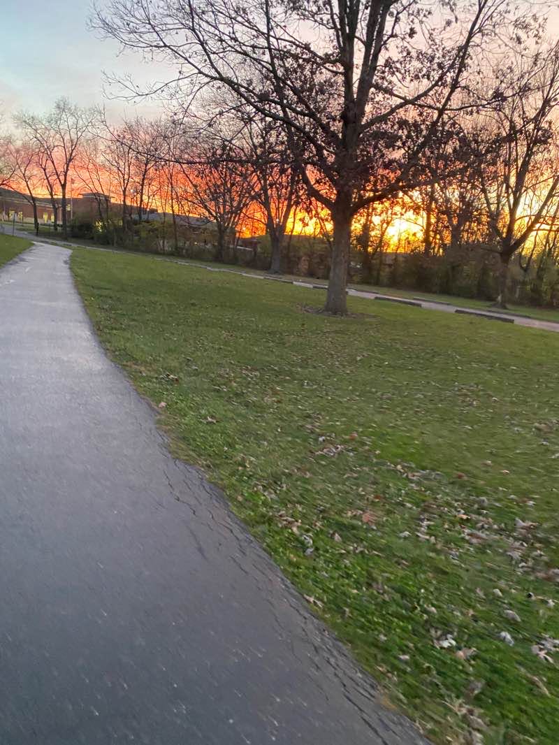 walking near me in Shellabarger Park in winter