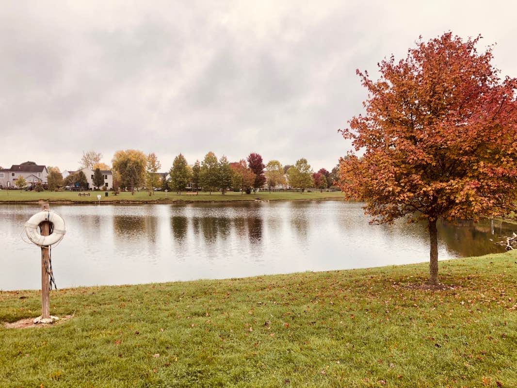 walking near me in Hilmar Park in winter