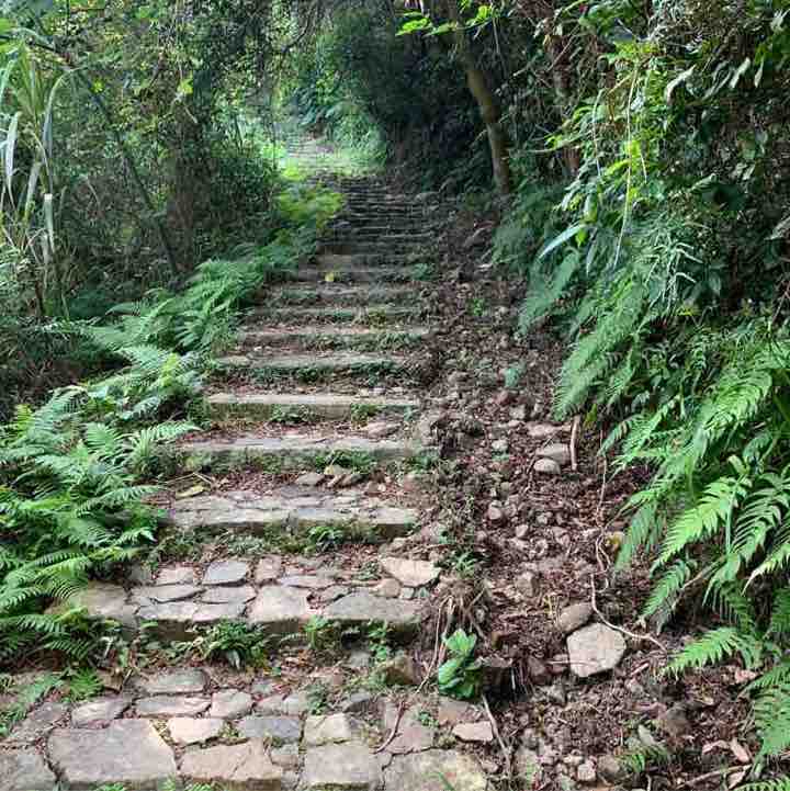 佩紅JO🇭🇰90 post 3