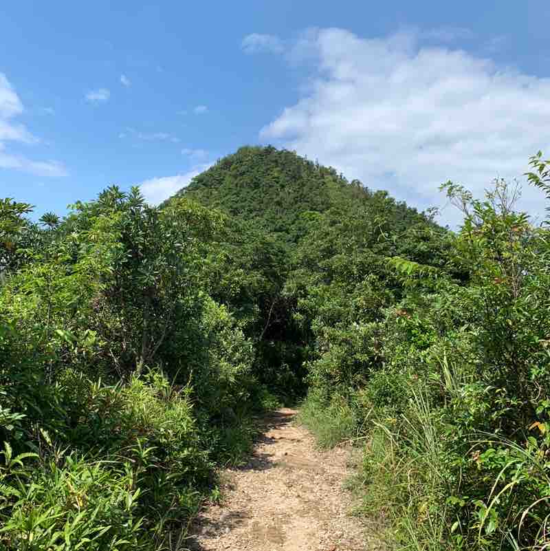 佩紅JO🇭🇰90 post 2