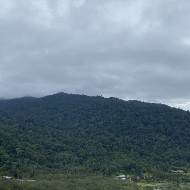 江Yvon🇲🇾90 ⭕️3⭐️3 post 2