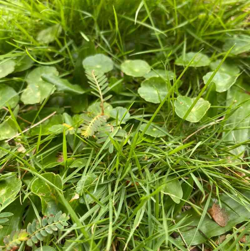 江Yvon🇲🇾90 ⭕️3⭐️3 post 2