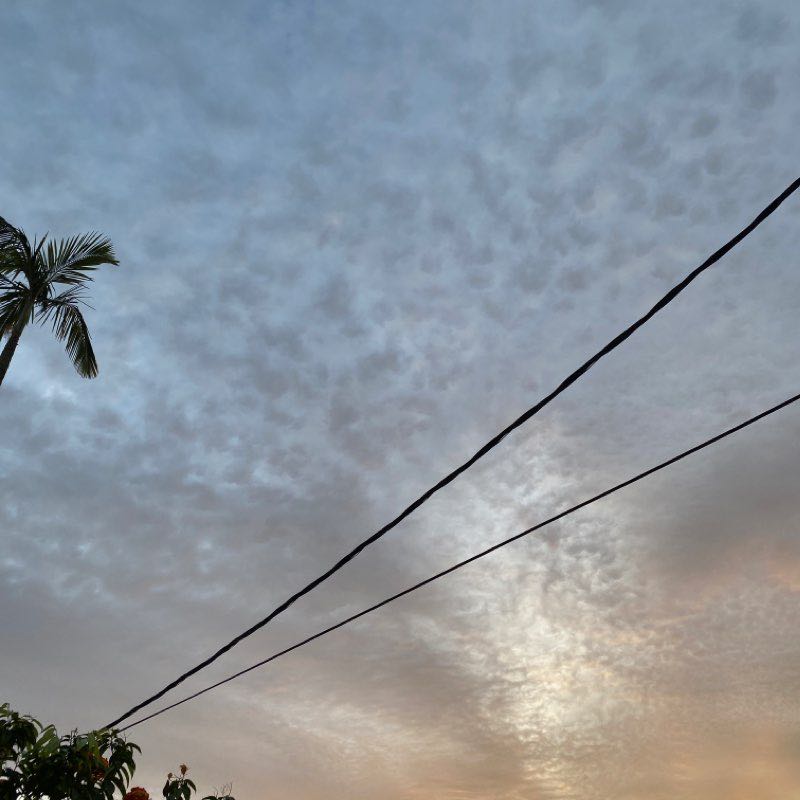 江Yvon🇲🇾90 ⭕️3⭐️3 post 2