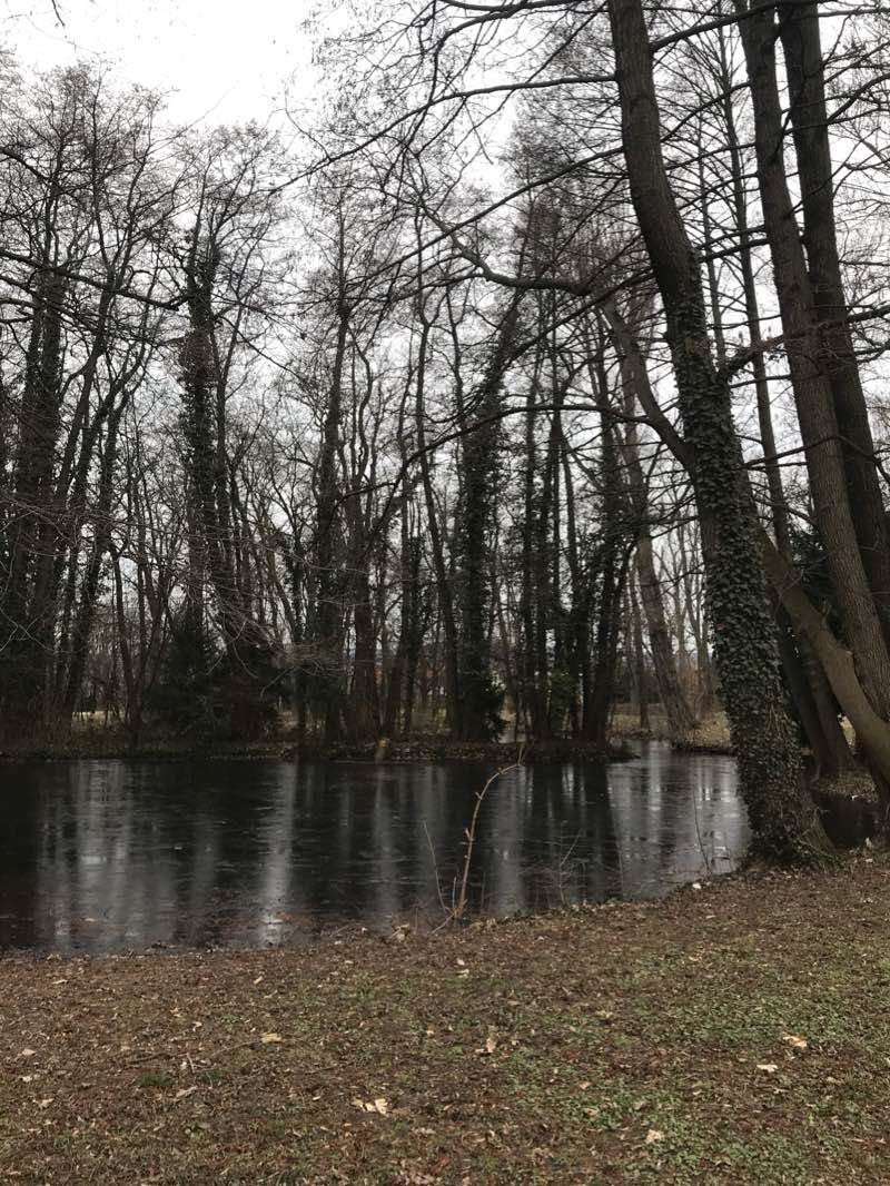 walking near me in Zámocký Park in winter
