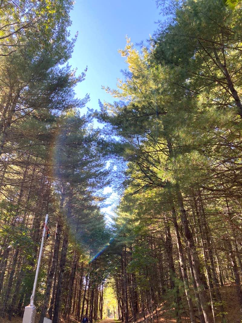walking near me in Concord Water District in winter