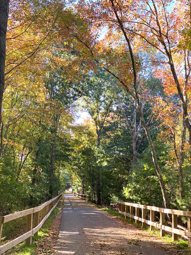 walking near me in Jennie Dugan Brook in winter