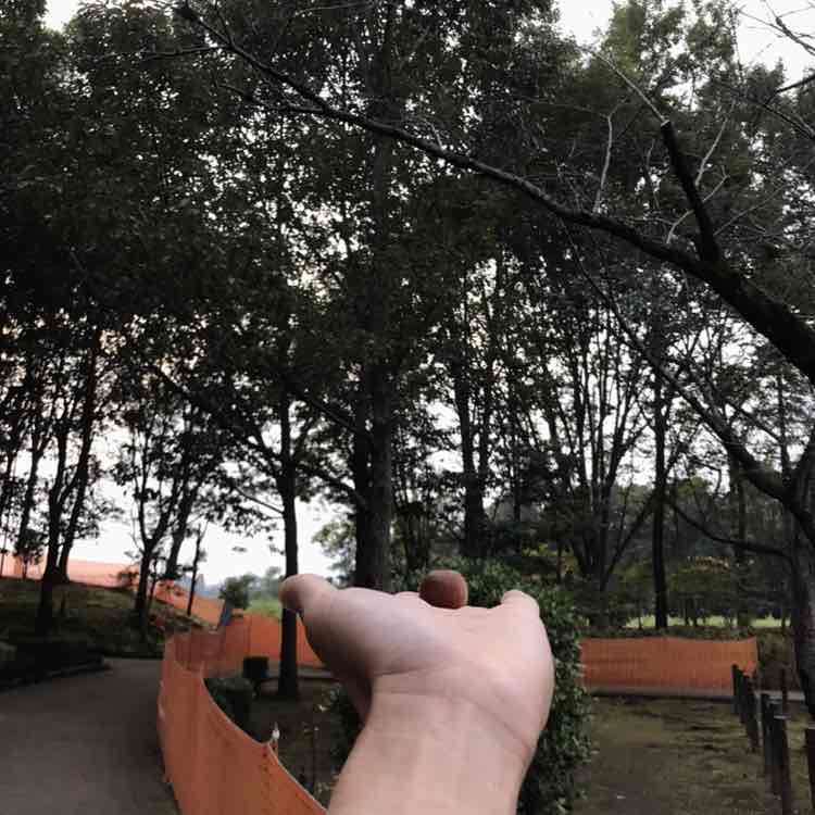 发盛FS🇯🇵90⭕4⭐0 post 2