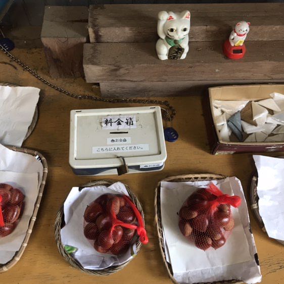 发盛FS🇯🇵90⭕4⭐0 post 2