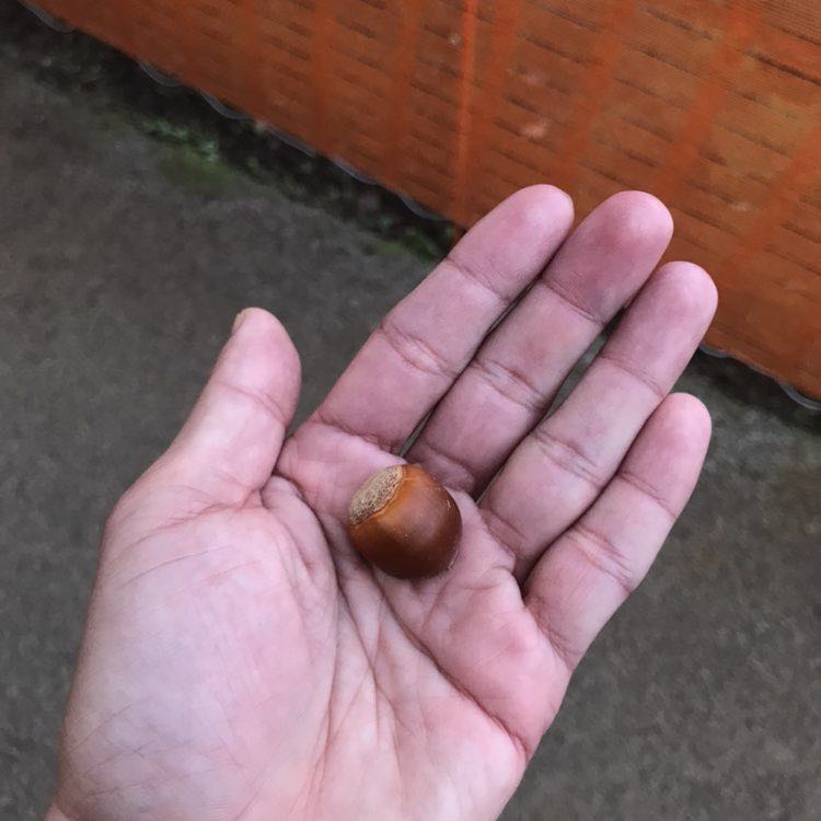 发盛FS🇯🇵90⭕4⭐0 post 1