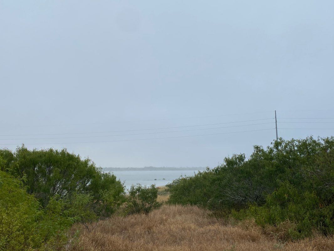 walking near me in Oso Bay Wetlands Preserve in winter
