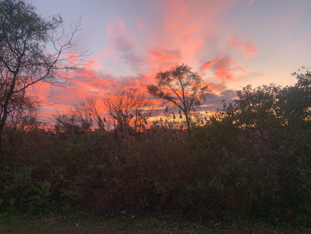 walking near me in Milburn Park in winter