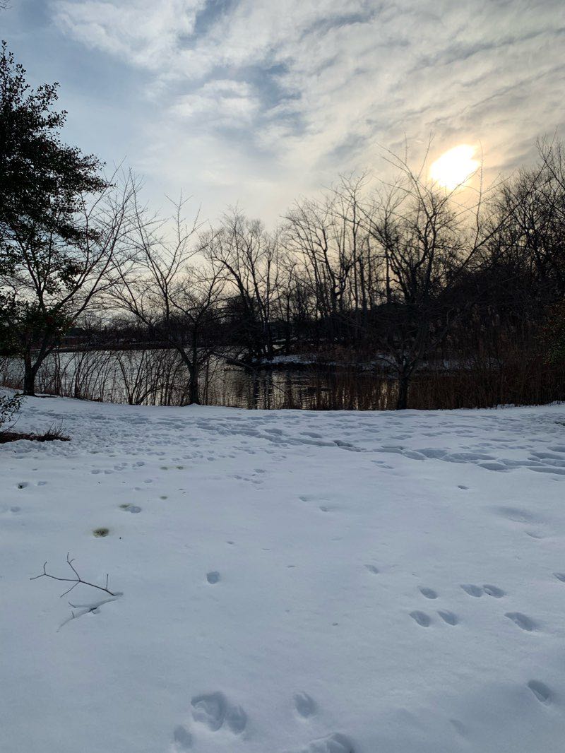 walking near me in Milburn Park in winter