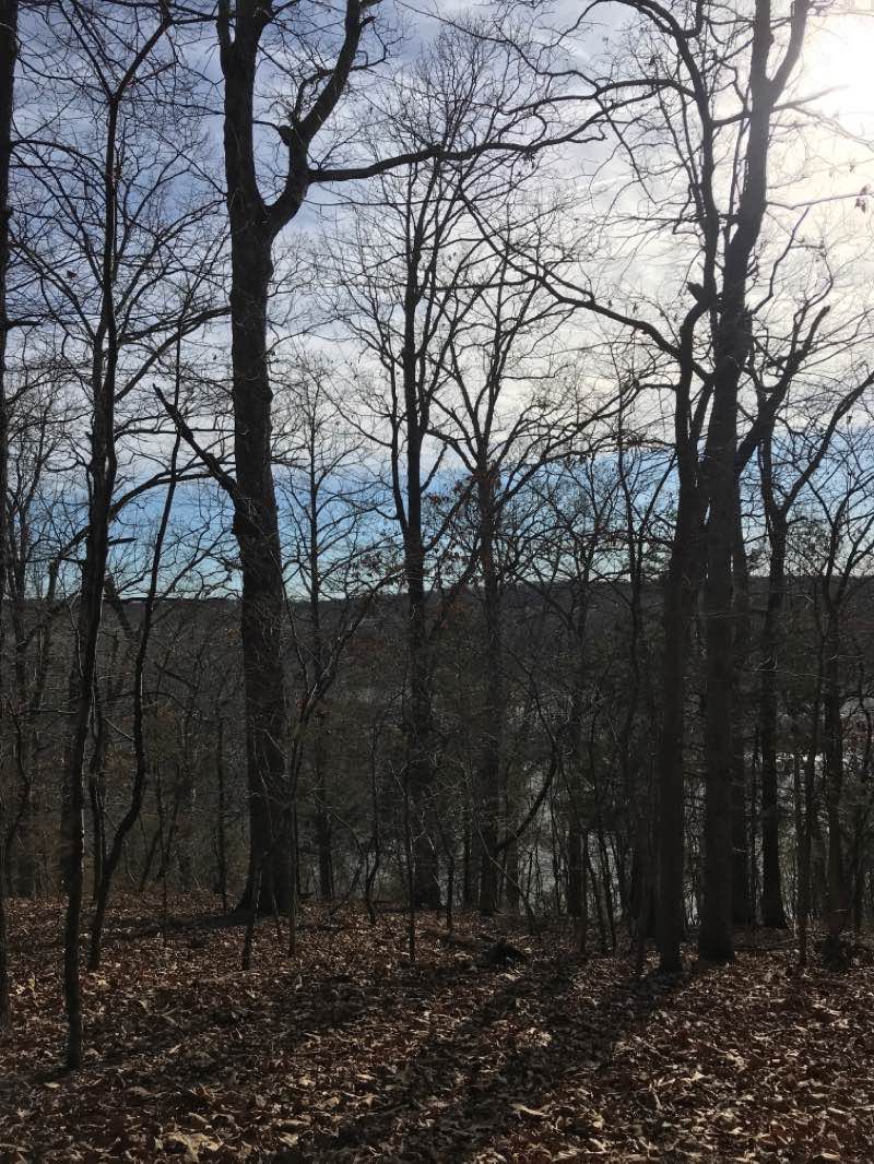 walking near me in Nature Center Park in winter