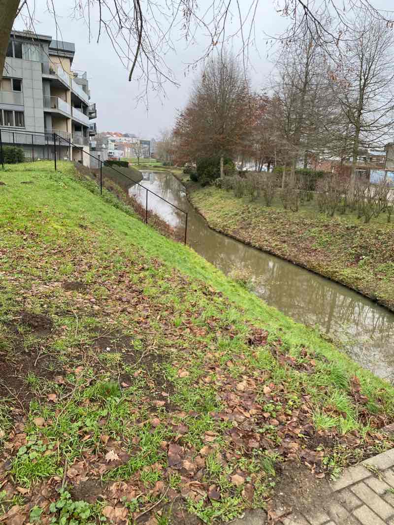 walking near me in Elzenhof in winter