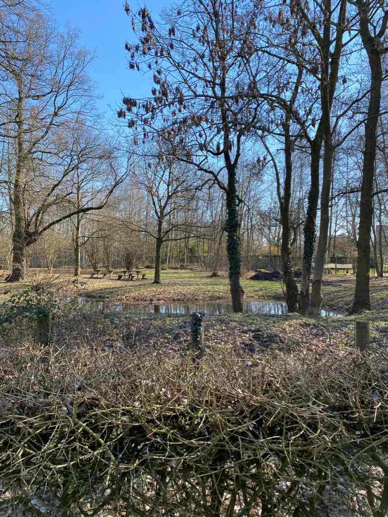 walking near me in Kapermolen park in winter