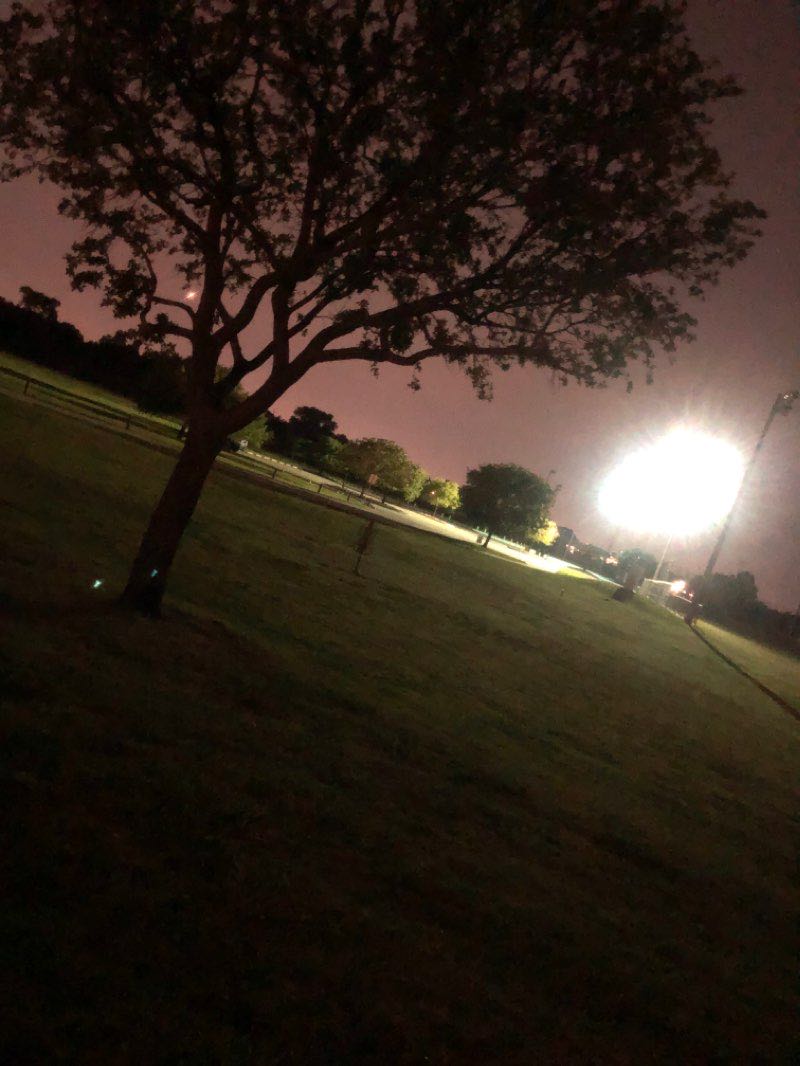 walking near me in Moore Road Park in winter