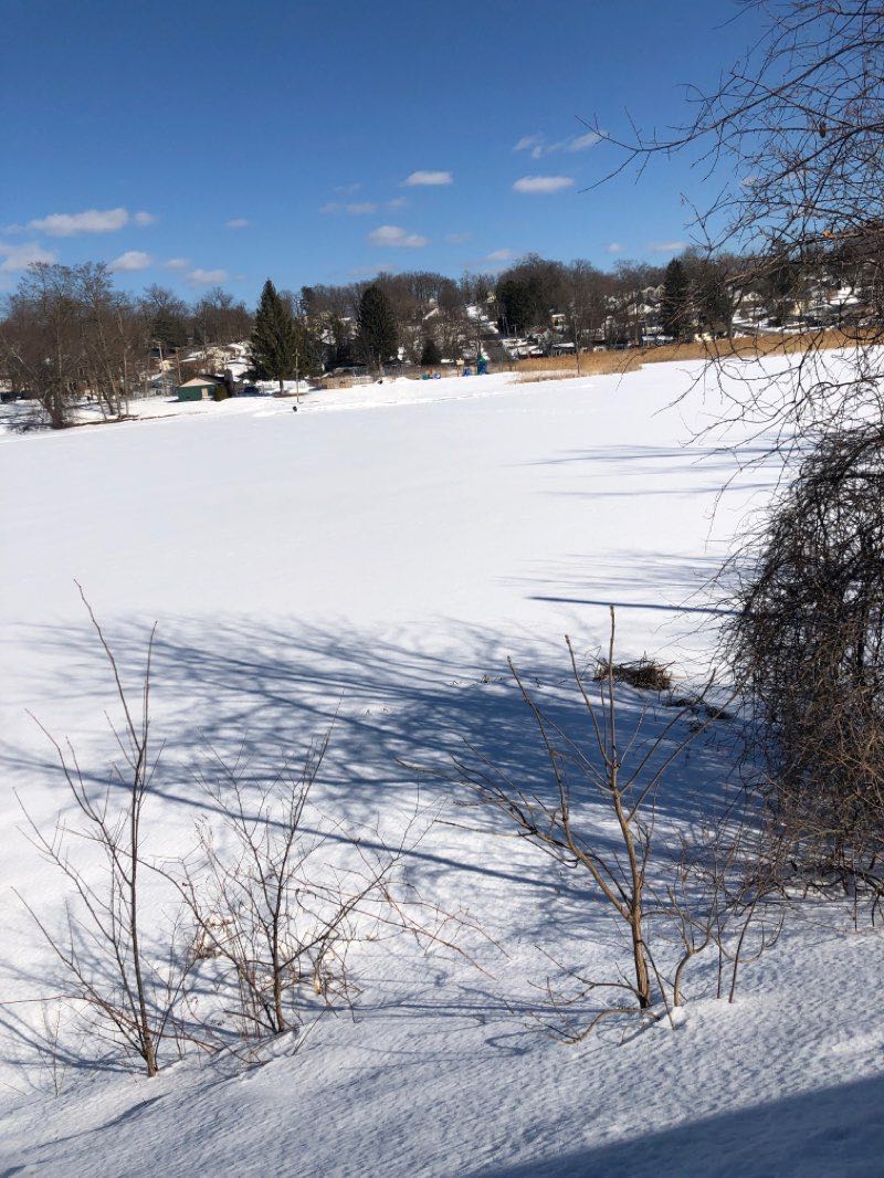 walking near me in Hampton Manor Park in winter