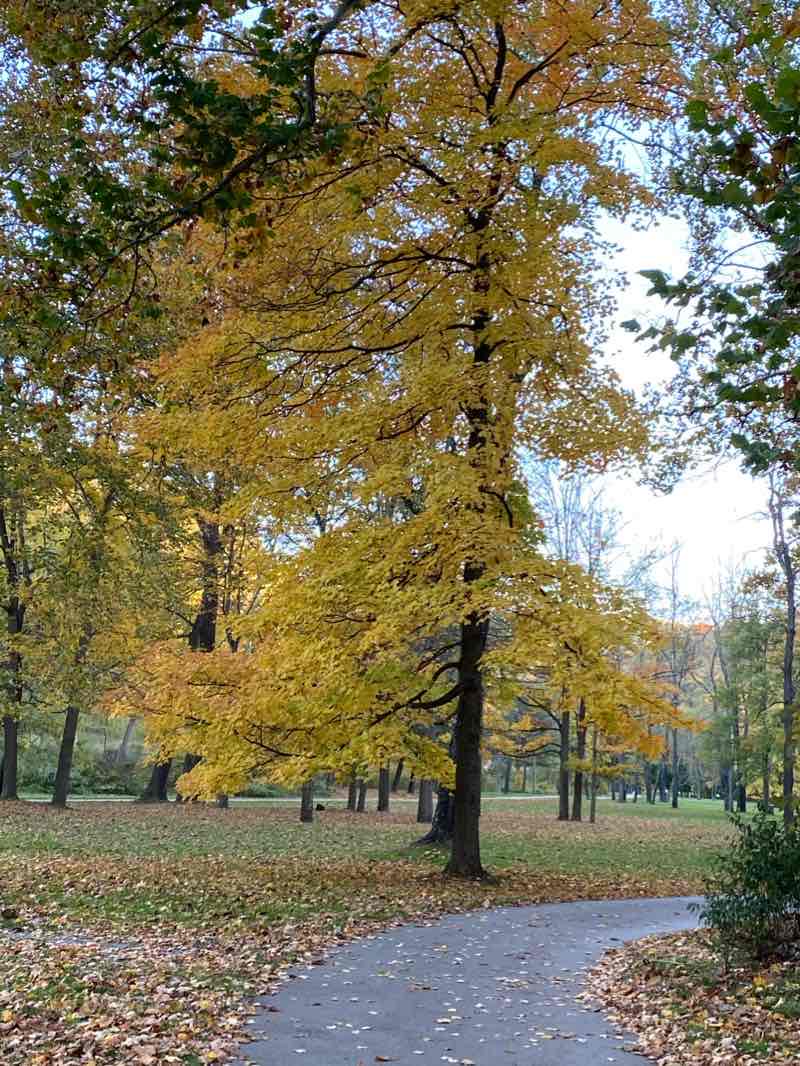 walking near me in Bradys Run Park in winter
