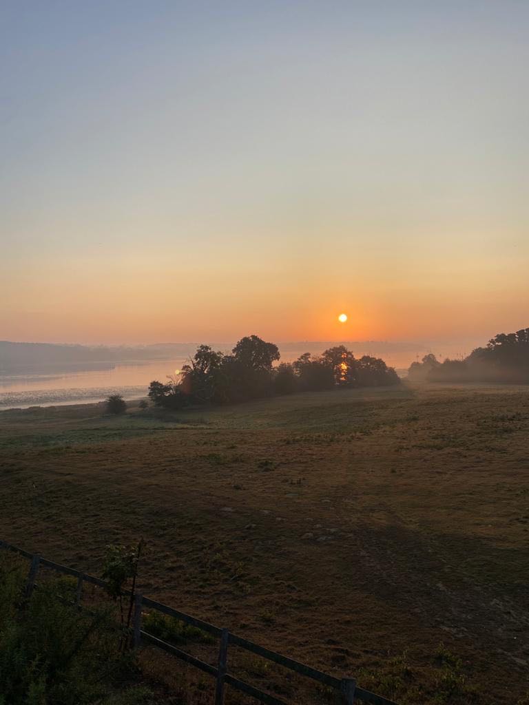 walking near me in Freston Park in winter