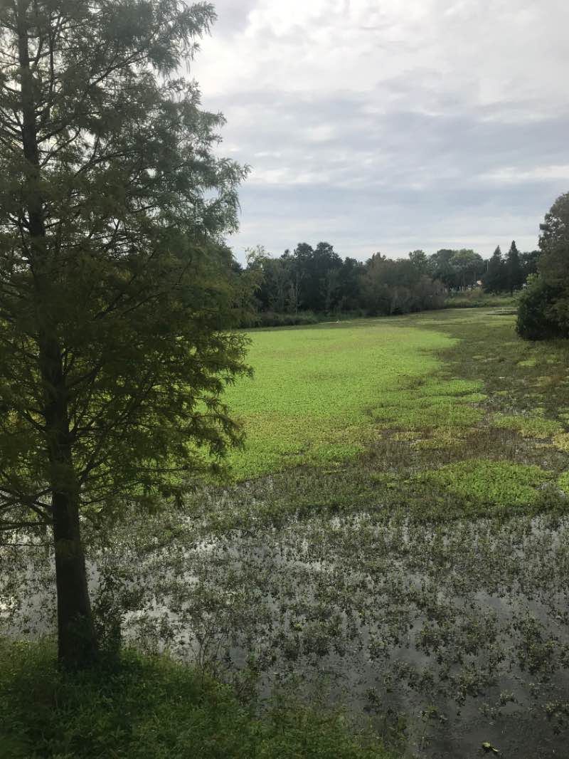 walking near me in Walter Fuller Park in winter