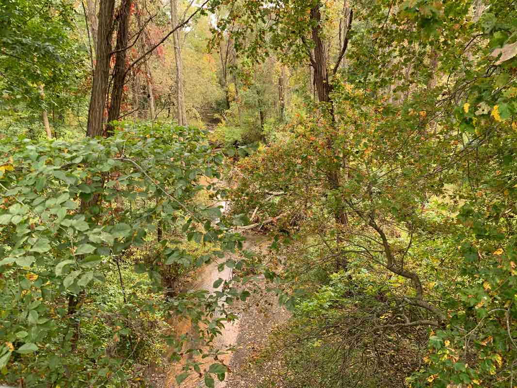 walking near me in Big Brook Park in winter