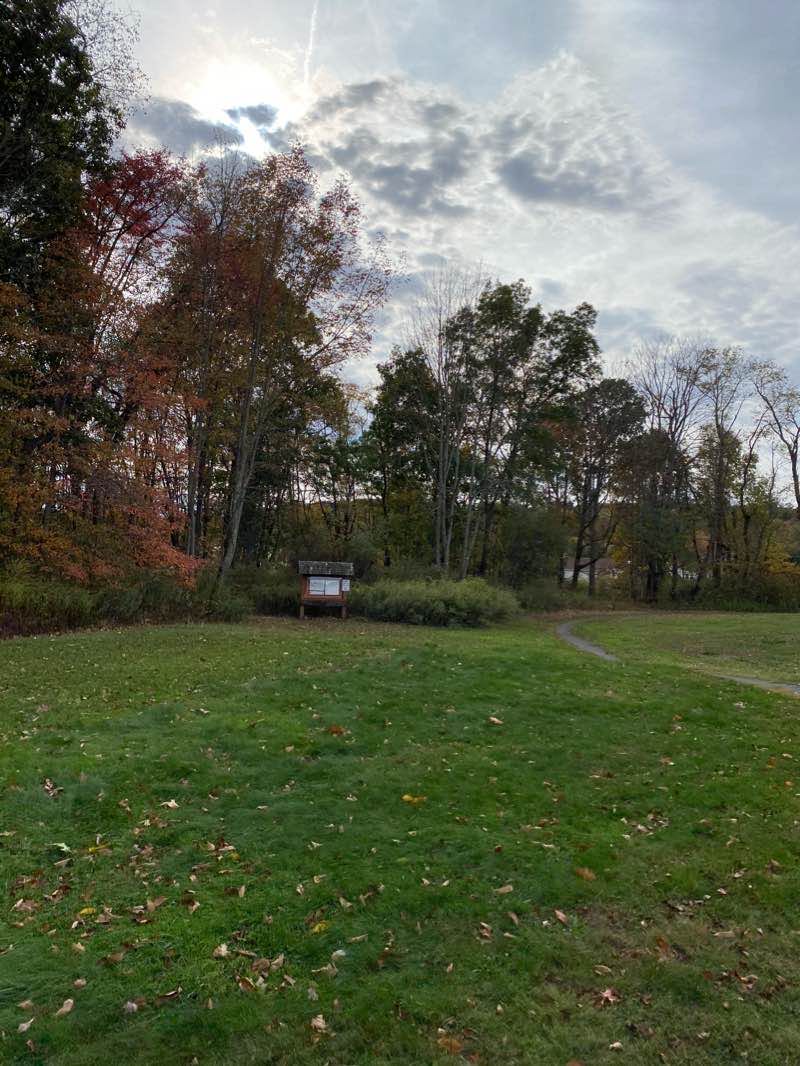 walking near me in Peckham Field in winter