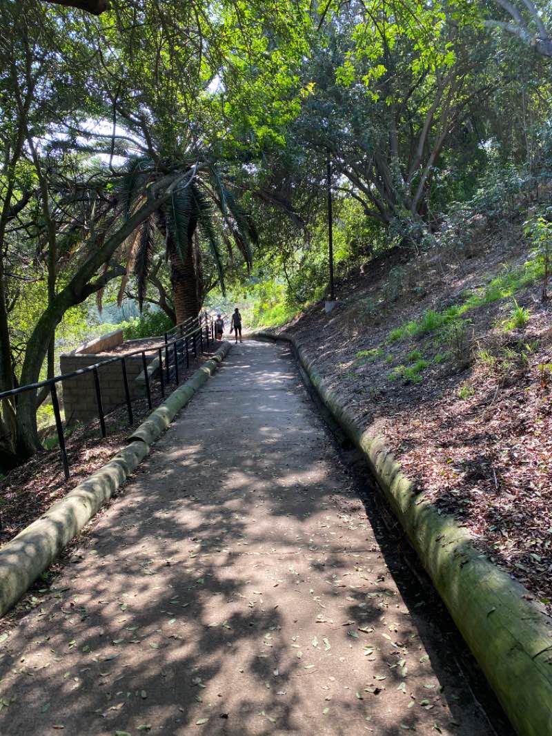 walking near me in Sand Dune Park in winter