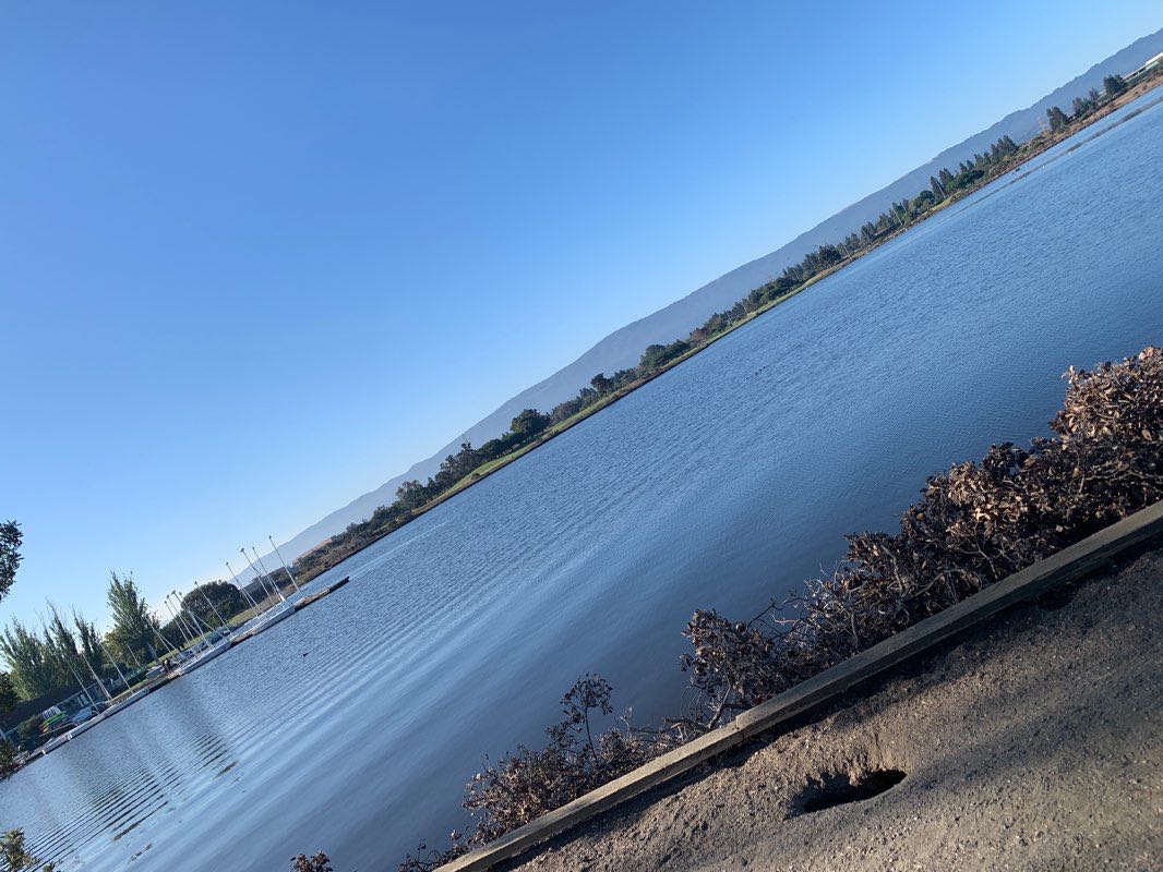 walking near me in Lakewood Park in winter