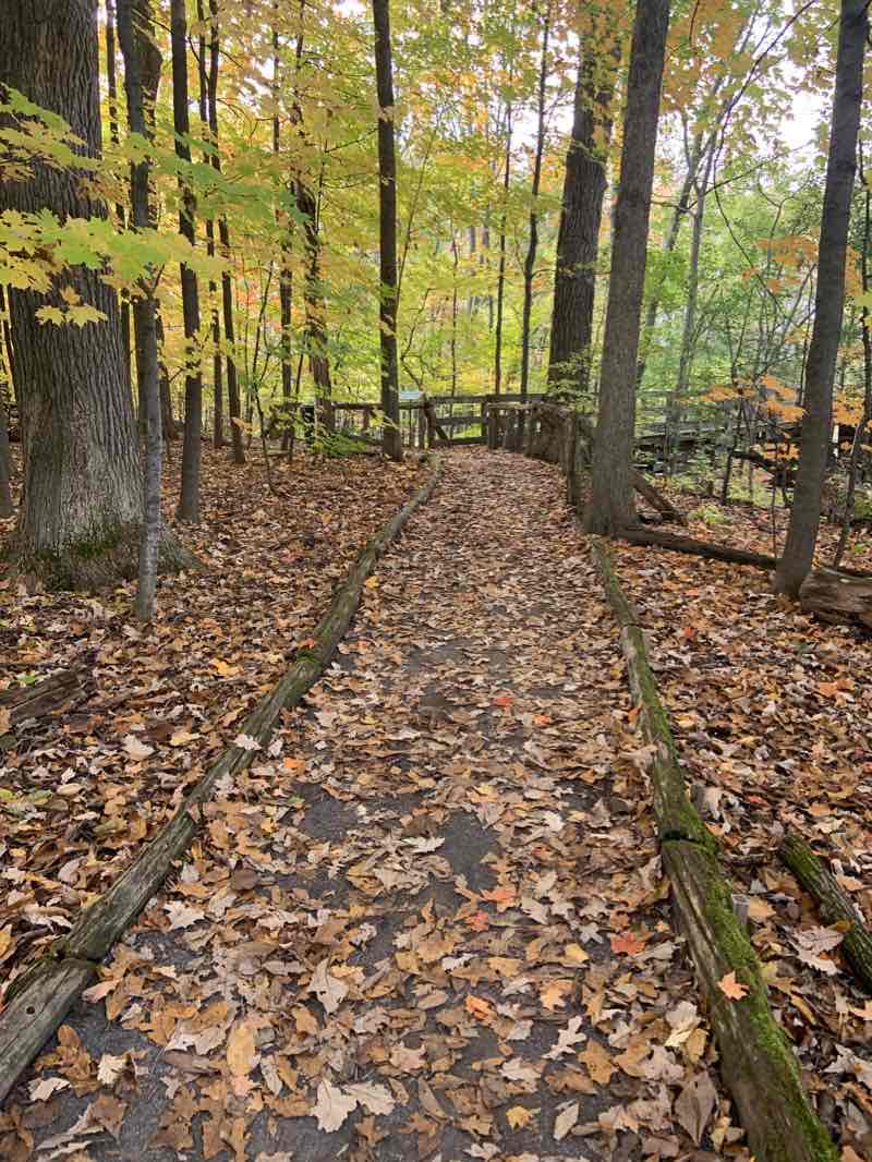 walking near me in Centre d'Interprétation de la nature in winter